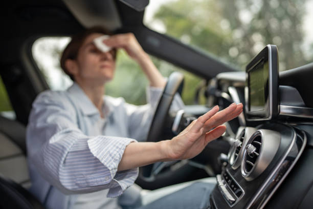 Best Central Air Repair  in Spring Valley, MN
